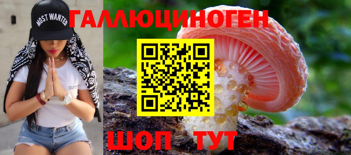 Псилоцибиновые грибы GOLDEN TEACHER Бирск